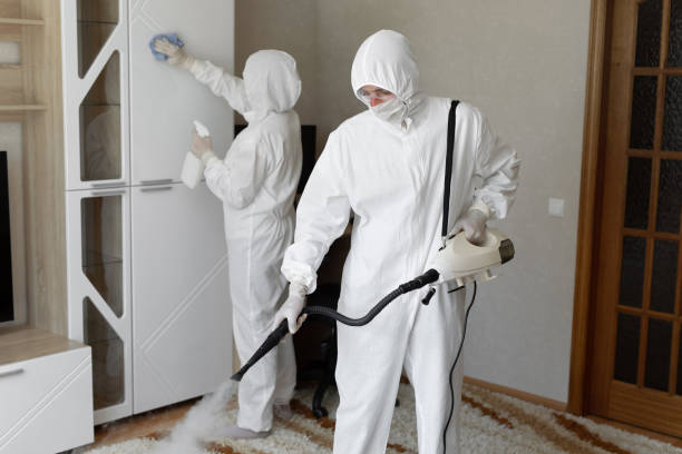 Best White Mold Remediation in Redmond, OR